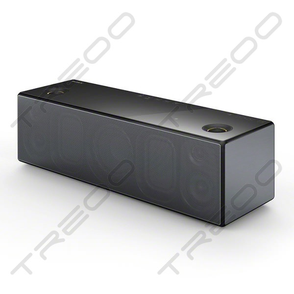 Sony SRS-X99