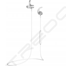 AVIOT WE-D01c Wireless Bluetooth In-Ear Earphone with Mic - Silver
