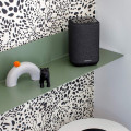 Denon Home 150