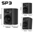 FiiO SP3